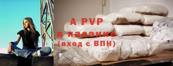 дмт Бородино