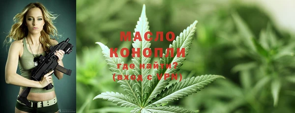 дмт Бородино