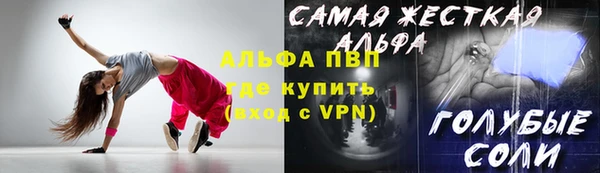дмт Бородино