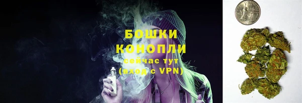твердый Бронницы