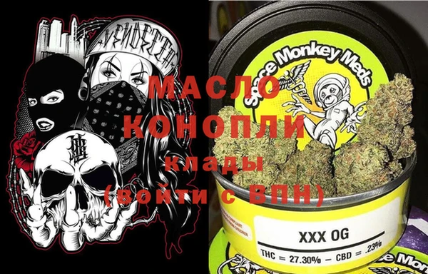 дмт Бородино