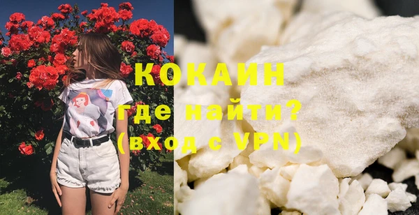 дмт Бородино