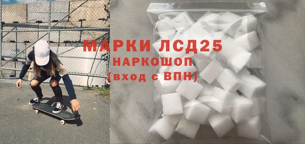 дмт Бородино