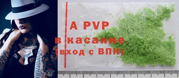 дмт Бородино